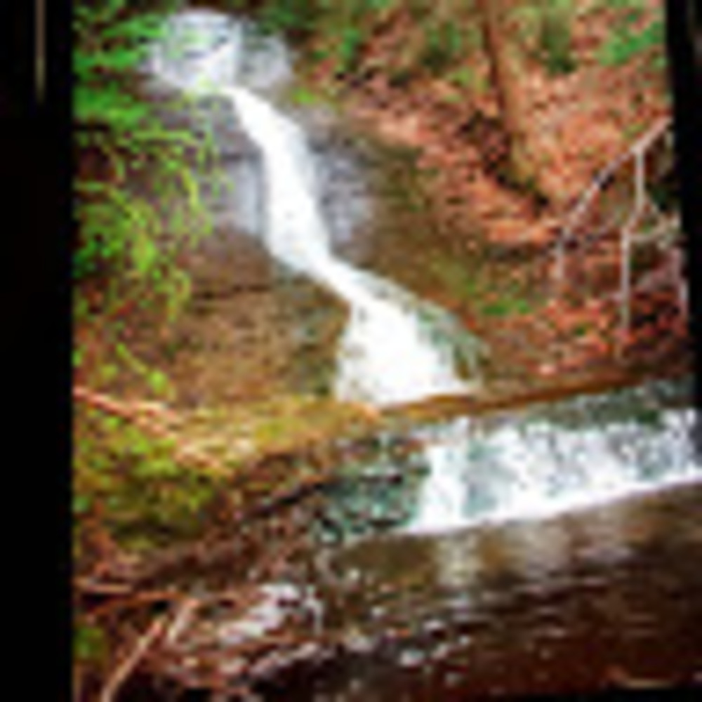 Meet your Posher, Lynnette